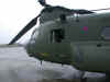 DSCN7974.JPG (586215 octets)