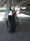 DSCN8628.JPG (643391 octets)