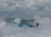 CTurzii 021r.jpg (43534 octets)