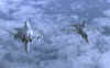 15 M 20000 ET F 18 copie.jpg (991795 octets)