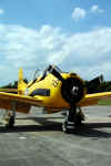 T 28 Fennec 04.JPG (1288593 octets)