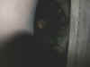 DSCN3659.JPG (587822 octets)