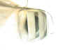 DSCN3679.JPG (446771 octets)