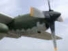DSCN8264.JPG (120071 octets)