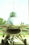 f16003.jpg (221576 octets)