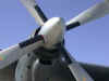 DSCN4366.JPG (672289 octets)