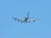 DSCF0045.JPG (360208 octets)