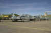 Dsc_5537 copie.jpg (187604 octets)
