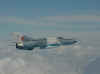 CTurzii 007r.jpg (39834 octets)