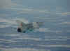 DSC04457r.jpg (62090 octets)