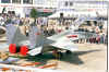 MIG 29 DE PRES.jpg (355435 octets)